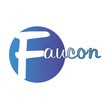 FIDUCIAIRE D'AUDIT ET DE CONSEILS (FAUCON)