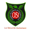 DEMIN SECURITE INTERVENTION