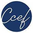 CABINET CCEF (Cabinet de Conseil, d'assistance et d'Expertise Fiscale)