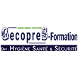 GECOPRES - FORMATION (Georges Conseils et Prestations)