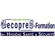 GECOPRES (GEORGES CONSEILS ET PRESTATIONS)