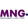 MNG AUDIT & CONSULTING