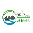 BRIC GROUP