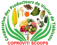 COPROVITI SCOOPS (Coopérative des Producteurs de Vivrier de Tiébissou)