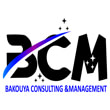 BCM (BAKOUYA CONSULTING & MANAGEMENT SARL)