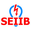 SEIIB TOGO (SERVICE D'ELECTRICITE ET D'INSTALLATION INDUSTRIEL & BATIMENT)