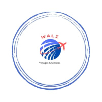 WALI VOYAGES & SERVICES