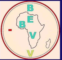 EBV SARL (BONNE VISION-LE BATISSEUR D'AFRIQUE)