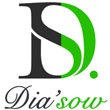 DIA'SOW INDUSTRIE