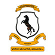 INTERNATIONAL CONQUISTADOR SECURITY GROUP SARLU