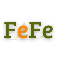 FEFE - FORUM DE L'EDUCATION ET DE LA FORMATION POUR L'EMPLOYABILITE