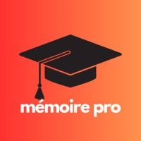 MEMOIRE PRO