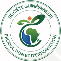 SOGUIPEX SARL