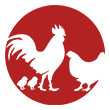ARITA FOODS AFRICA (AFA BENIN)