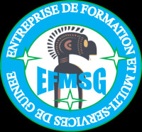 ENTREPRISE DE FORMATION ET MULTI-SERVICES DE GUINEE