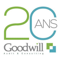 GOODWILL AUDIT & CONSULTING