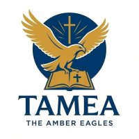 THE AMBER EAGLES