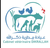 CABINET VÉTÉRINAIRE DR DIKRALLAH