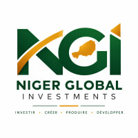 NIGER GLOBAL INVESTMENTS