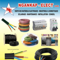 NGANKAP-ELECT SARL