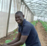 Massaer Mbodj