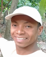 Armand EDI