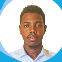 Hassan Elmi