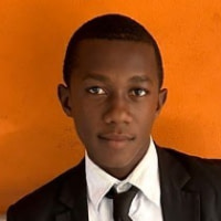 Abdul Aziz  Fofana