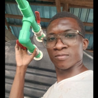 Luc Charly  Ngimbis