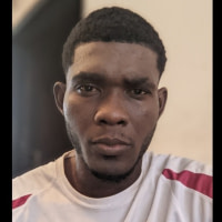Vincent David serge  Tsanga mballa