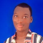 Kodjo Vincent  BIAM