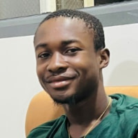 Henri Joel  Bamouni