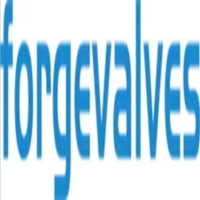 CHINA FORGED VALVES CO., LTD.