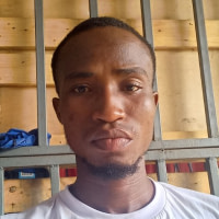 Lawson gyres delmas  Boni