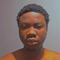 Laurent carlain  TSEVI