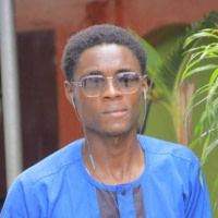 Louis-christopher IBOUANGA