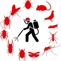 PROBEST DERATISATION