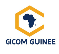 GICOM GUINEE