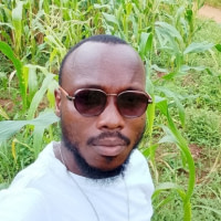 Kokou Brice  Viahon