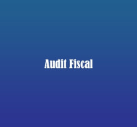 Audit Fiscal