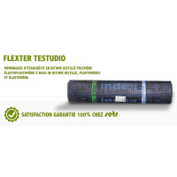 Flexter Testudio