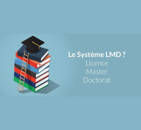 Licence LMD professionnelle