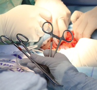 Chirurgie générale et spécialités