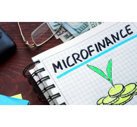 Formation en Microfinance