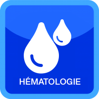 Hématologie