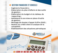 Gestion financière et conseils