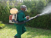 Fumigation