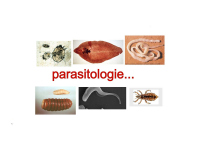 Parasitologie