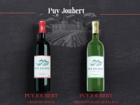 Puy Joubert