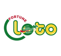 Loto Fortune 5/90